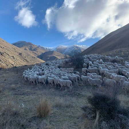 Quail Rest Villa Twizel Bagian luar foto