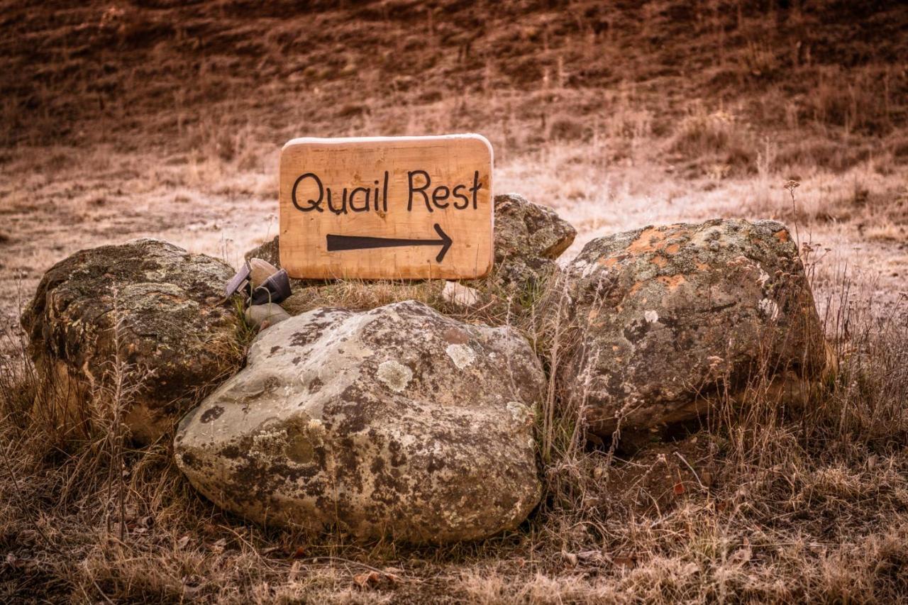 Quail Rest Villa Twizel Bagian luar foto